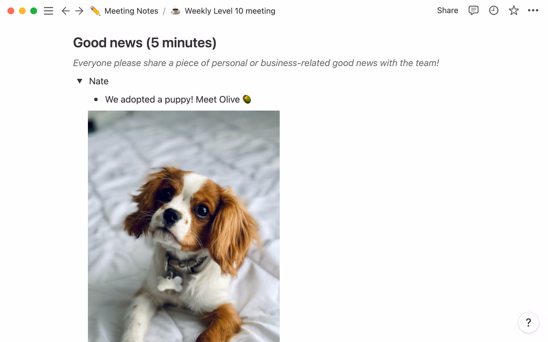 Verwende Toggles, damit jede Person ihren eigenen Platz hat, um gute Nachrichten zu teilen.