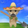 Profile picture of Coom